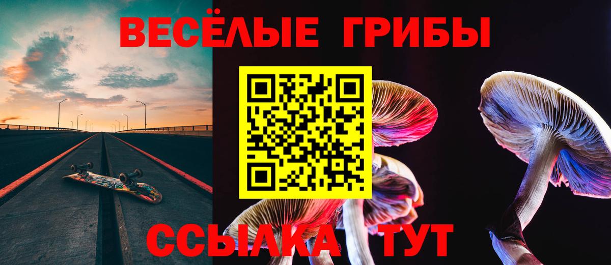 Псилоцибиновые грибы Cubensis  Псилоцибиновые грибы ЛСД  Вход с VPN  Рубцовск 